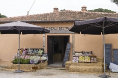 _ABD2047