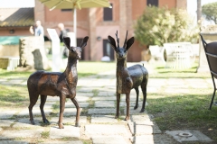 Espositori_PIT9205