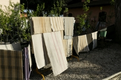 Espositori_PIT9546