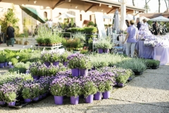 Espositori_PIT9589
