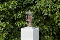 Mostra10