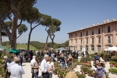 Pubblico29